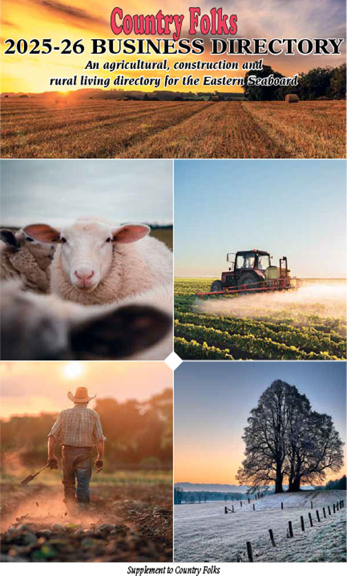 businessdirectory logo